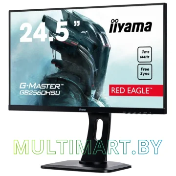 Монитор Iiyama ProLite GB2560HSU-B1 картинка 3